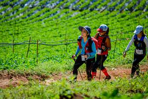 BIB: 1184
                            <button type="button" onclick="openModal(19163865)" class="btn btn-primary btn-sm float-right btn-popup" data-toggle="modal" data-target=".modal-high-quality">
                        <i class="fas fa-shopping-cart"></i> Add to Cart
                    </button>
                                            <button type="button" onclick="isThisMe(19163865, true)" class="btn btn-success btn-sm float-right btn-popup btn-isme hidden" data-toggle="tooltip" data-placement="bottom" title="นี่คือรูปของคุณใช่ไหม คลิกที่นี่เพื่อเอาเข้าอัลบั้ม">
                        <i class="fas fa-plus"></i> Add to album
                    </button>
                    <button type="button" onclick="isThisMe(19163865, false)" class="btn btn-warning btn-sm float-right btn-popup btn-isnotme hidden">
                        <i class="fas fa-ban"></i> Remove from album
                    </button>